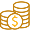 Budget Management Icon